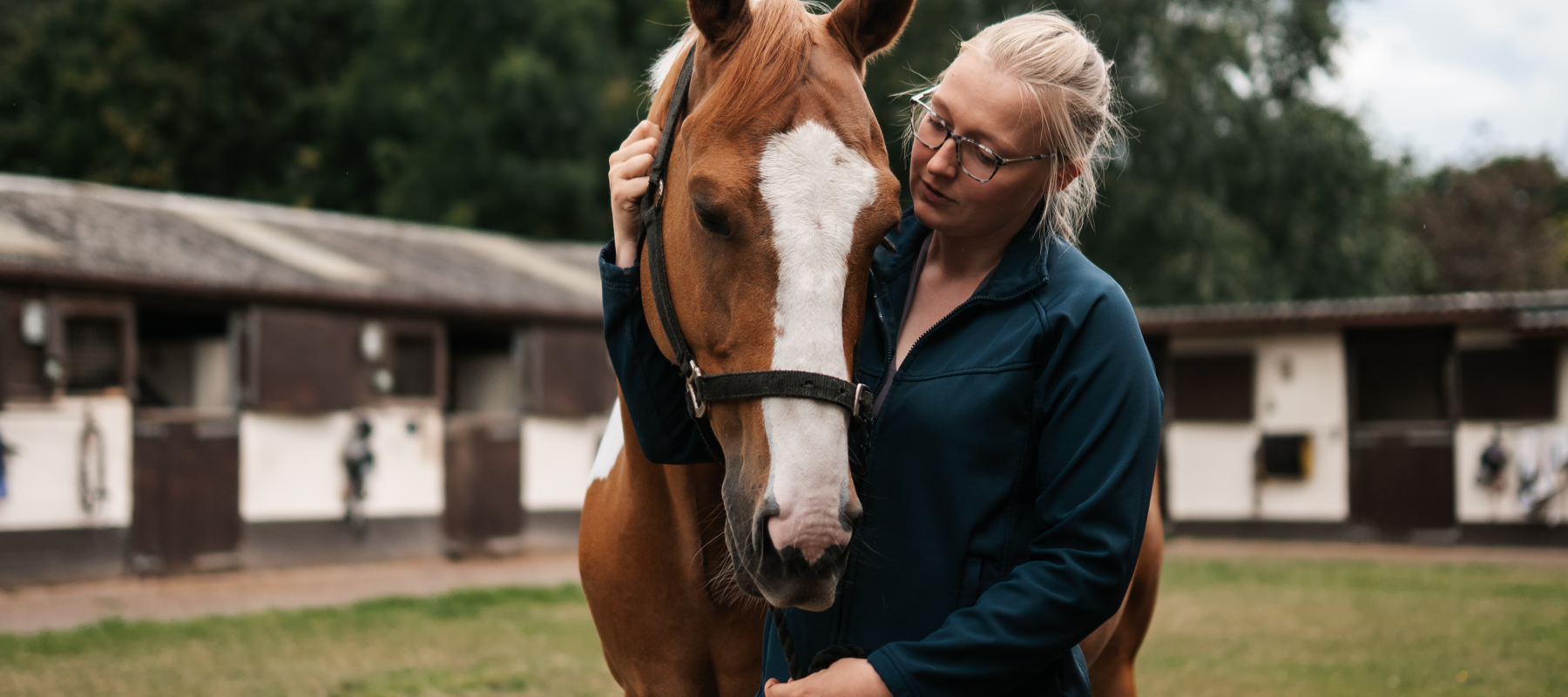 BHS Swallowfield Coloured Horse Eyes Closed (1)