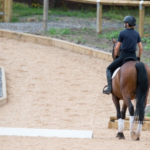 Horse And Rider Leaving Arena