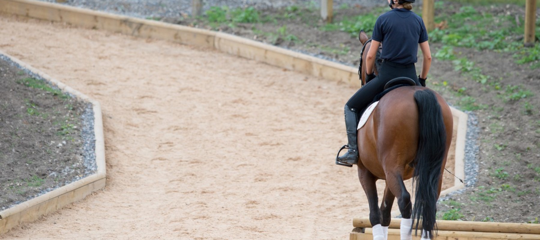 Horse And Rider Leaving Arena