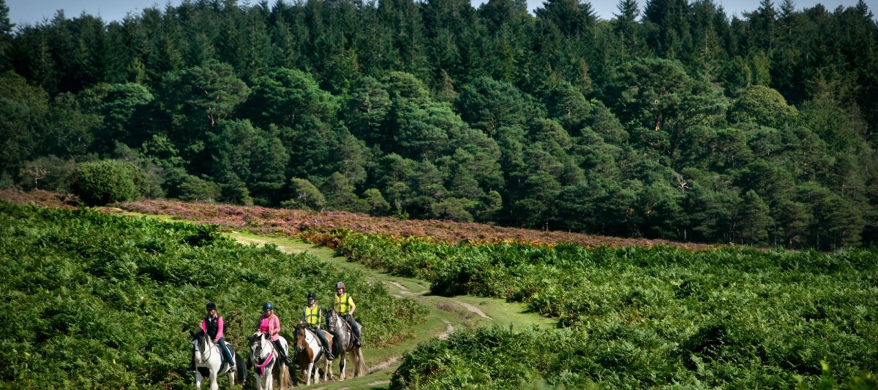 horse riding out in nature