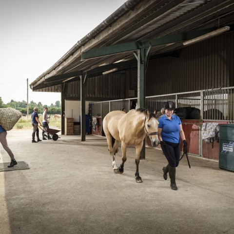 woman leading a horse in hand