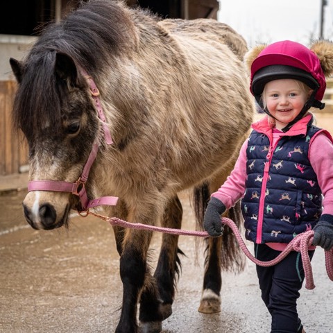 Support us | The British Horse Society