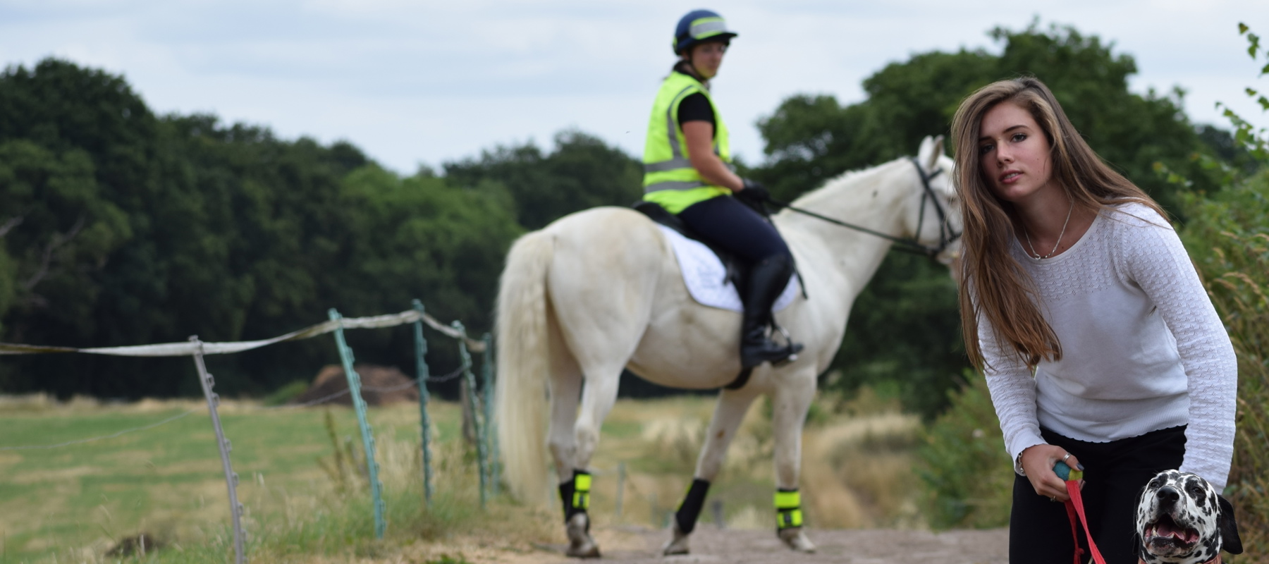 rider on a horse encountering a dog and his owner