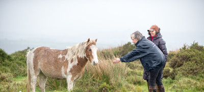 HERO MEETS HERO LOUISE HARWOOD 2588