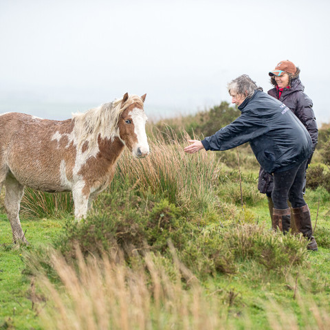 HERO MEETS HERO LOUISE HARWOOD 2588