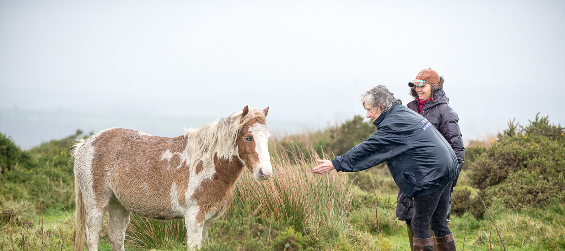 HERO MEETS HERO LOUISE HARWOOD 2588