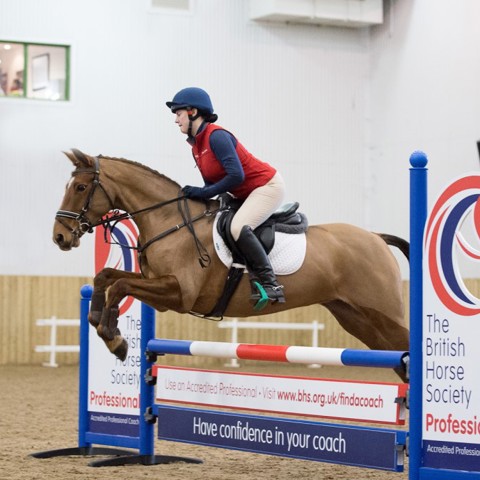 horse show jumping