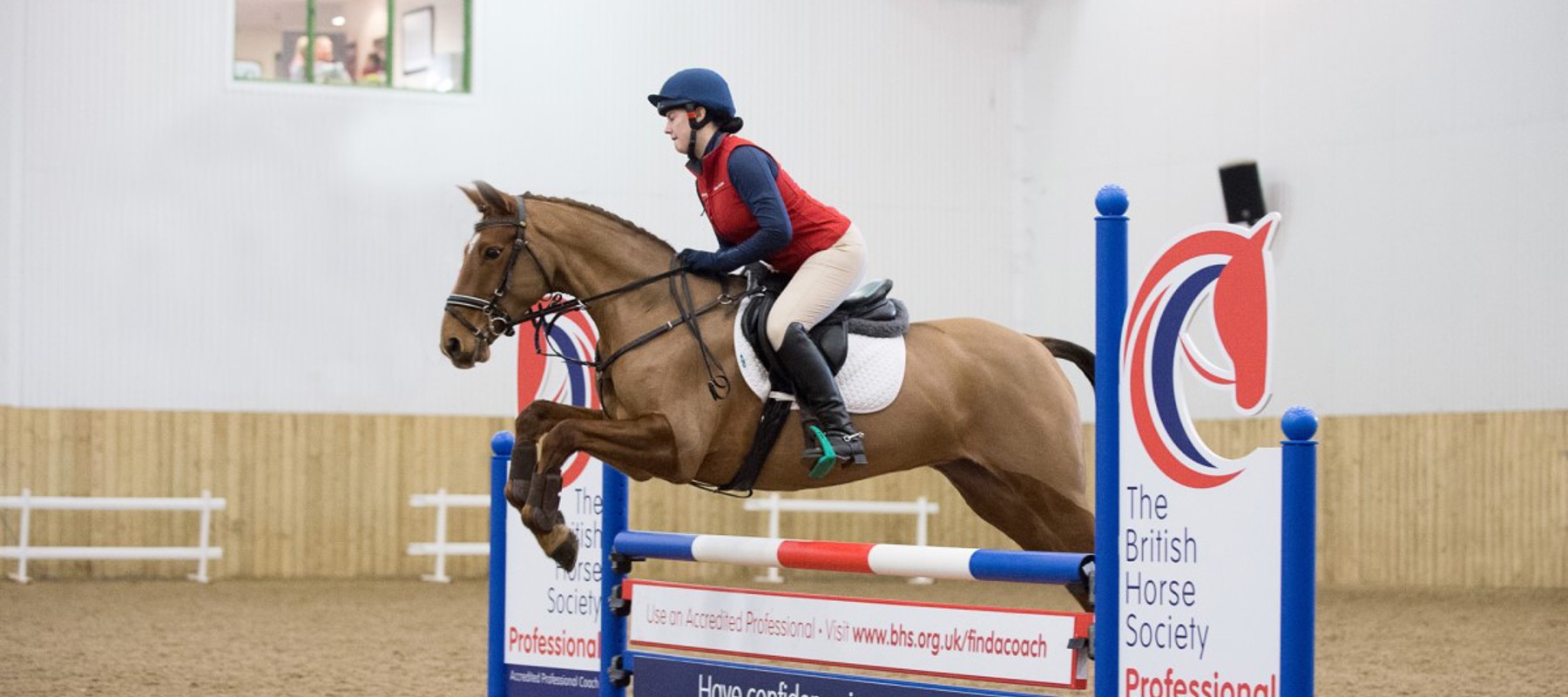 horse show jumping
