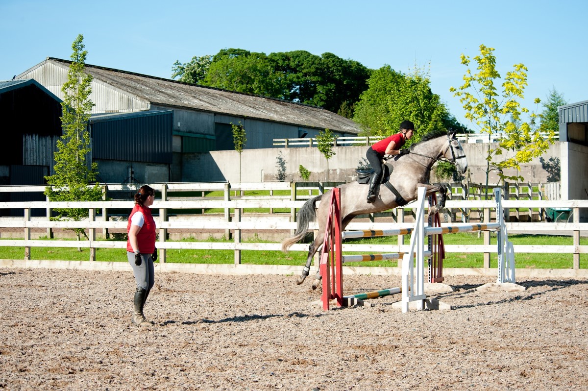 Coaching Pathway (Show jumping) The British Horse Society