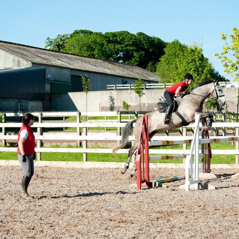 Rider on a horse vertical jump 