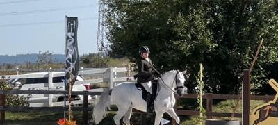 Working Equitation