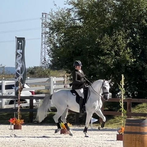 Working Equitation