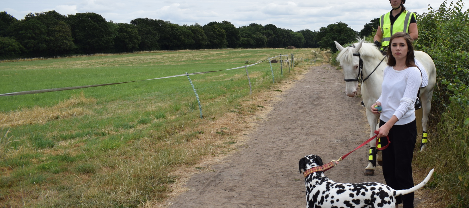 rider on a horse encountering a dog and his owner