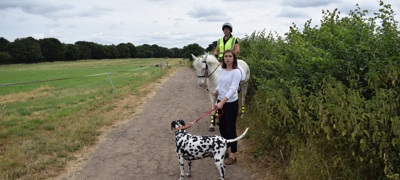 rider on a horse encountering a dog and his owner