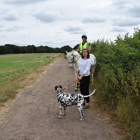 rider on a horse encountering a dog and his owner