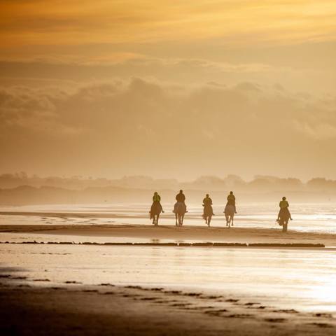 Riding on the beach at sunset