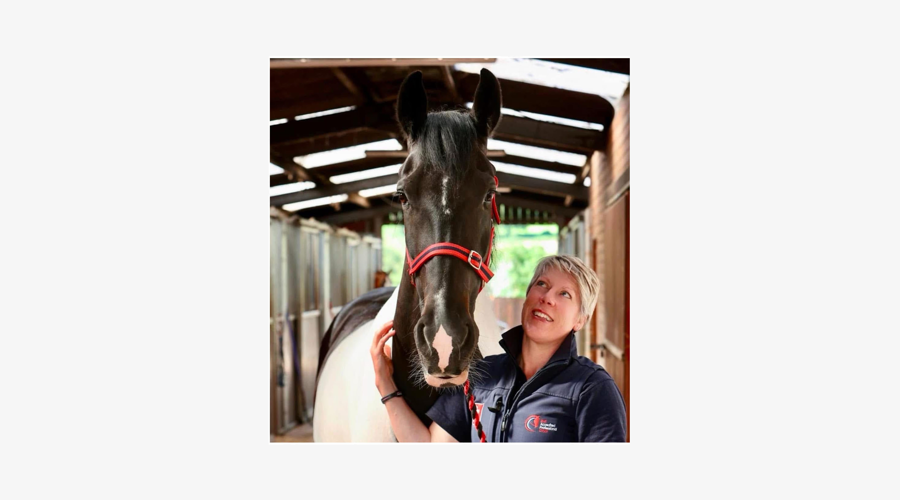 Img 1712 Border Grey