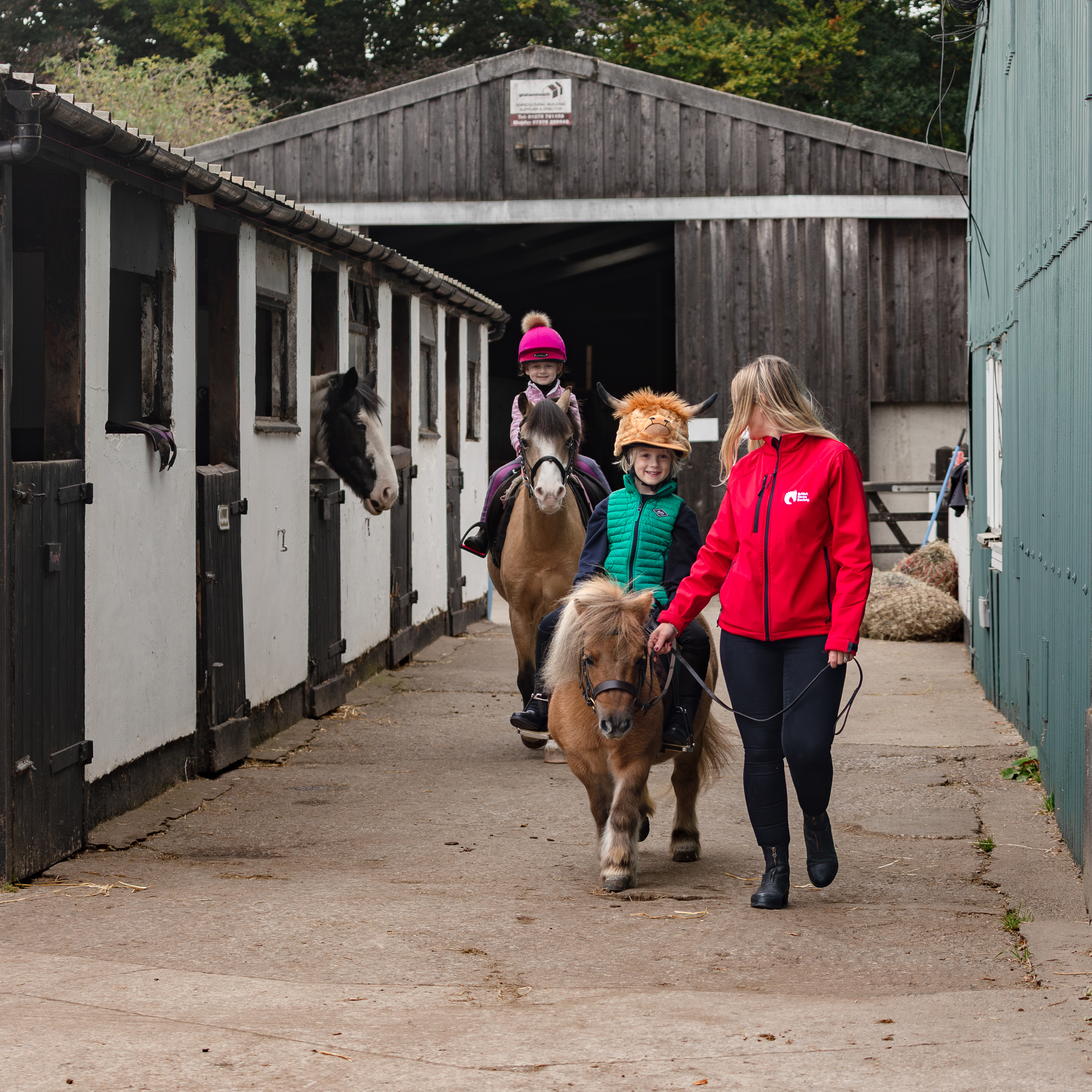 Second Chance rehoming horses | The British Horse Society