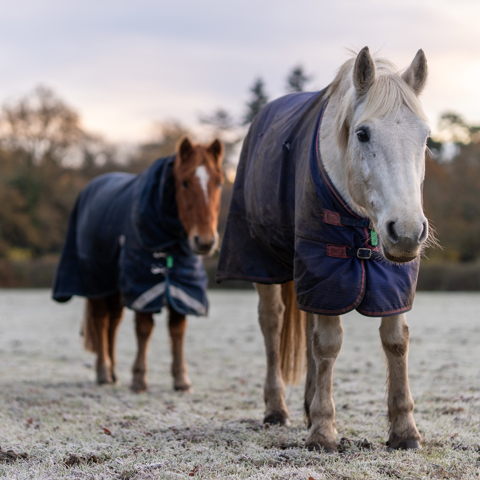 BHS Wellington Photos 129