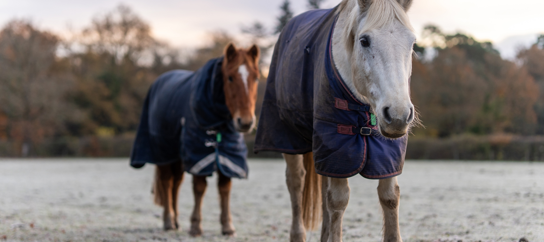 BHS Wellington Photos 129