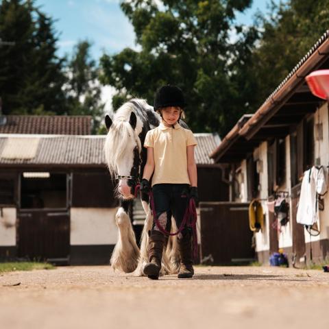 BHS Swallowfield Child Leading Pony (1)