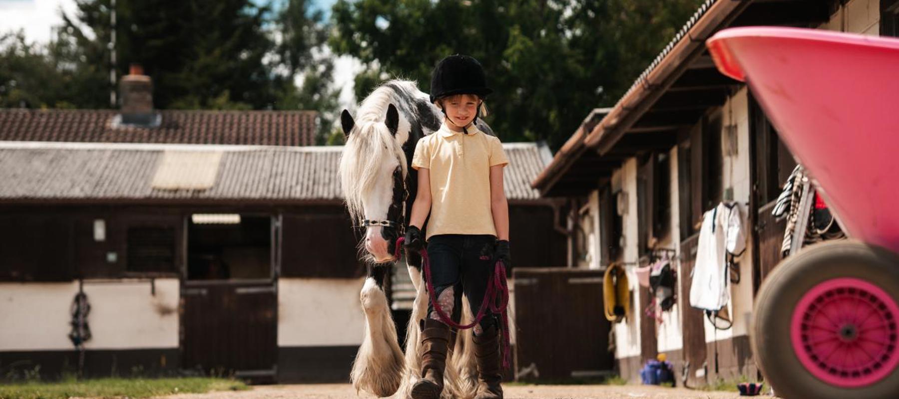 BHS Swallowfield Child Leading Pony (1)