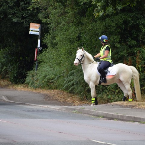 horse rider passing by car