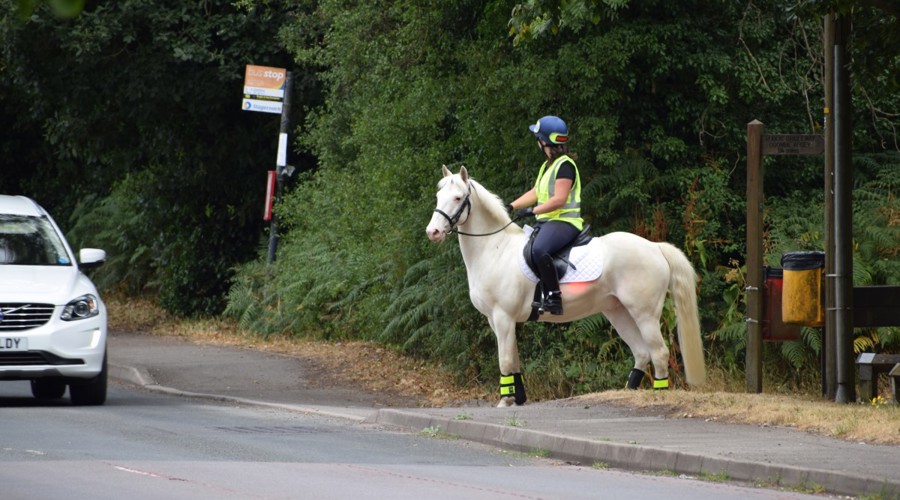 horse rider passing by car