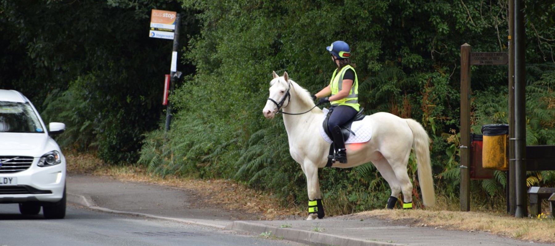 horse rider passing by car