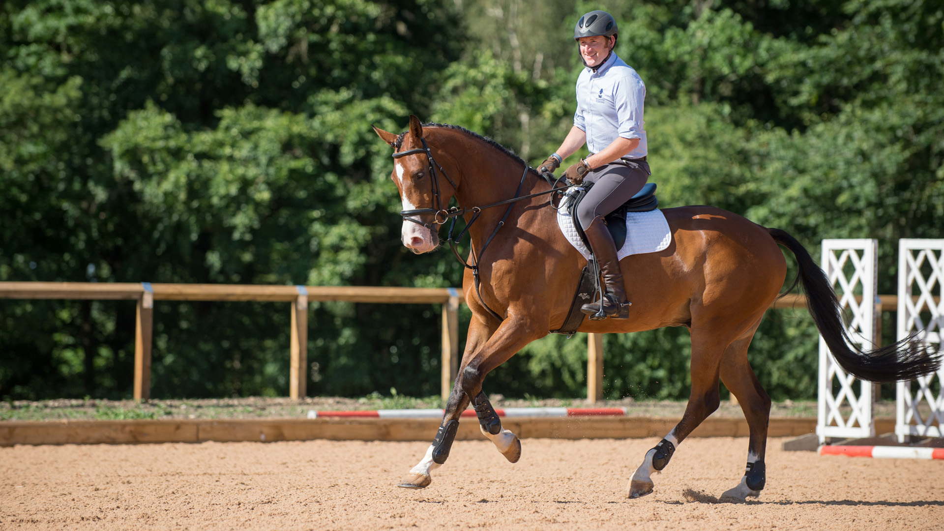 Stage 4 Senior Ride for Event Training The British Horse Society