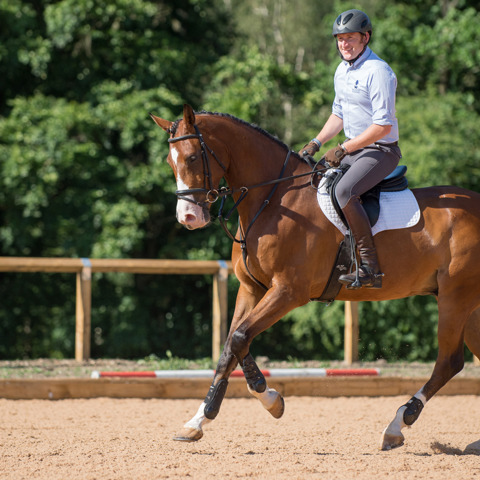 Bhs Stage4 Senior Rider