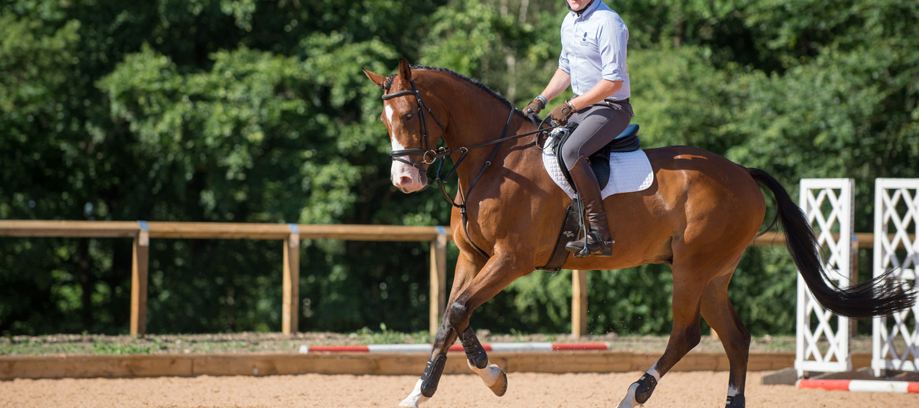 Bhs Stage4 Senior Rider