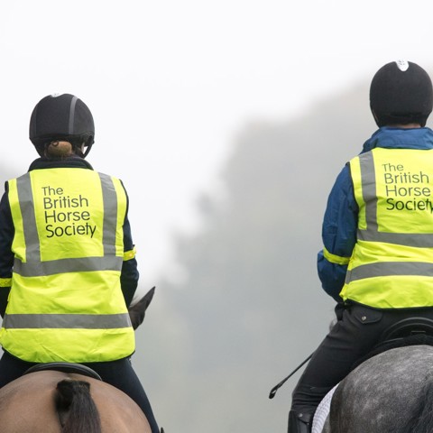 two riders on horses wearing BHS hi vis