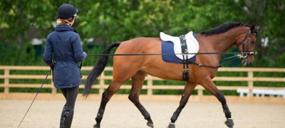 BHS accredited professional coach lungeing horse 