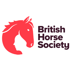 Bhs Primary Logo Colour Copy 30 Border British Horse Society home