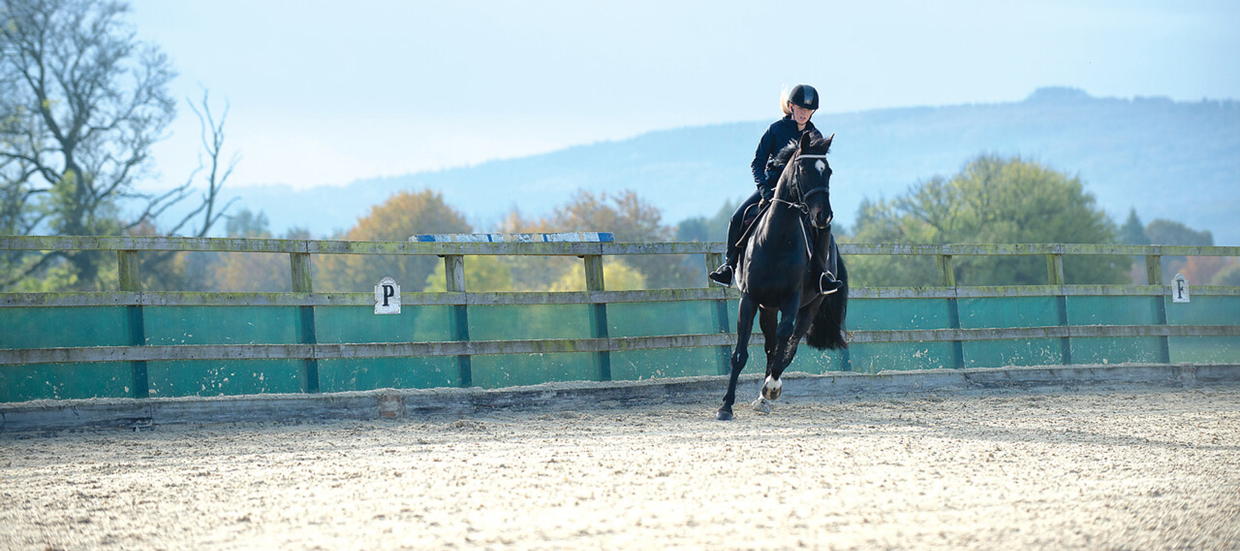 Riding flat | The British Horse Society