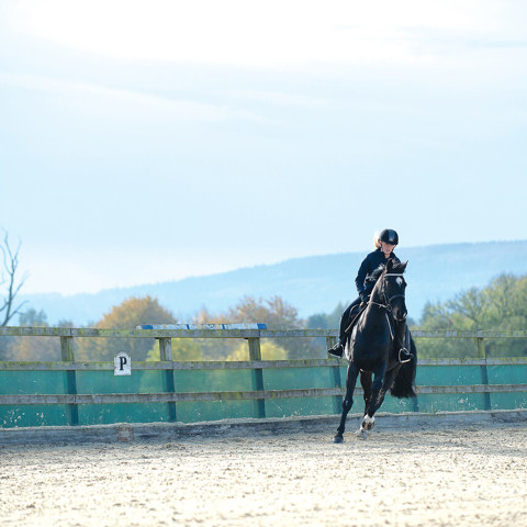Riding flat | The British Horse Society