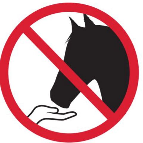 Do Not Feed Horses Poster 1
