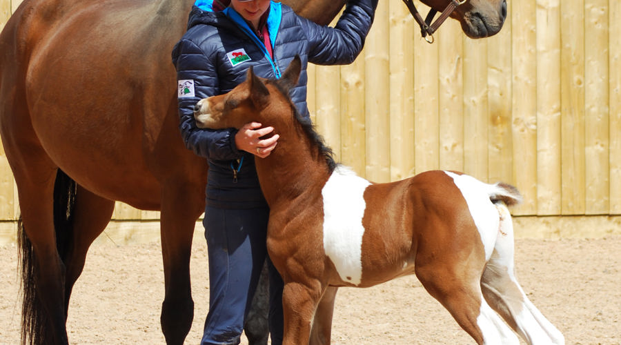 189991064 519523922739863 6902267049087105070 N