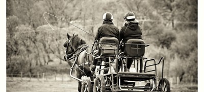 Carriage 3