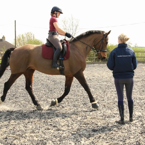 BHS Accredited professional coach in lesson
