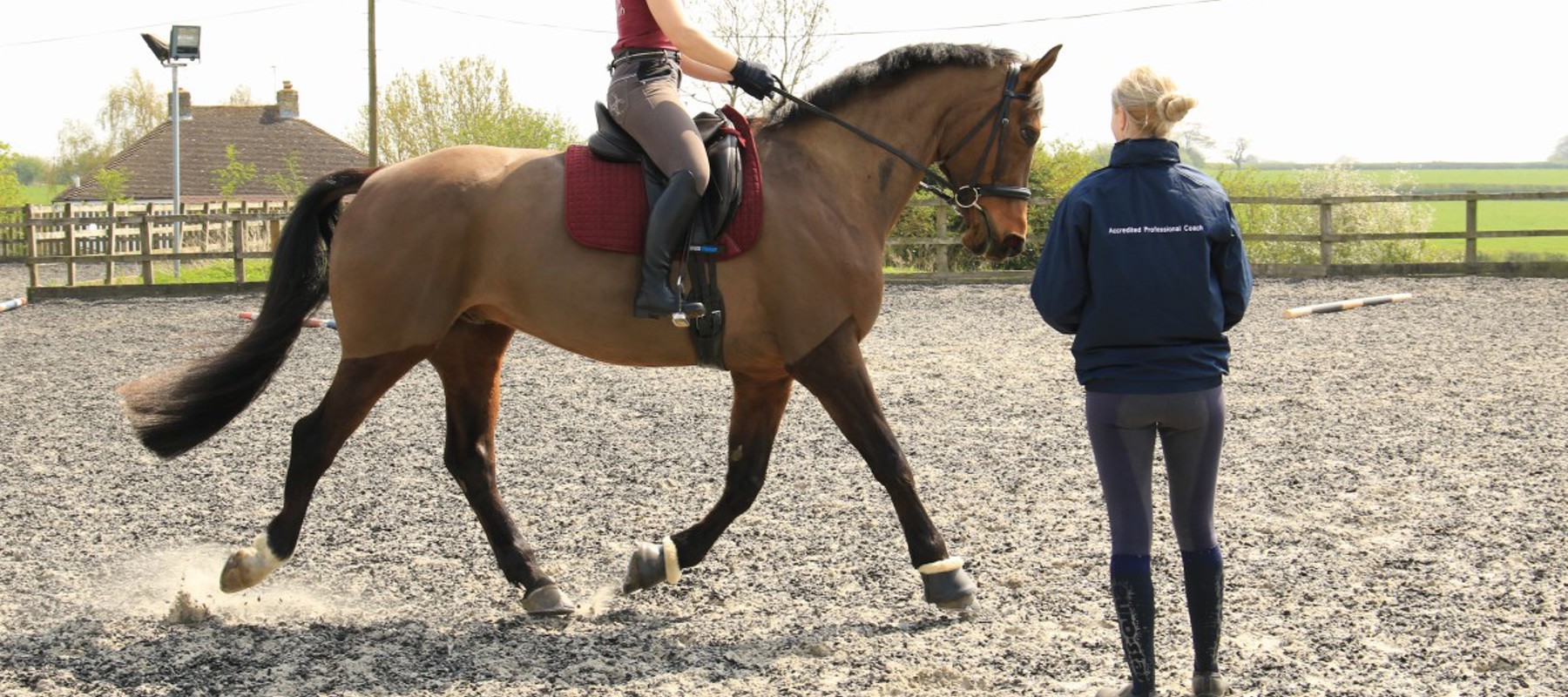 BHS Accredited professional coach in lesson