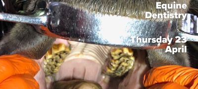 Copy Of Facebook Event Cover