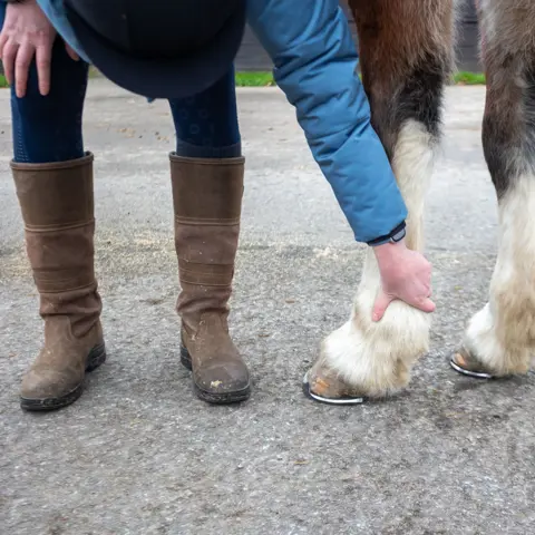 Checking Legs