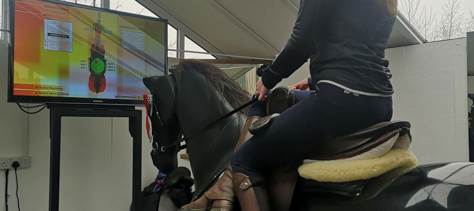 Side Saddle Mechanical Horse