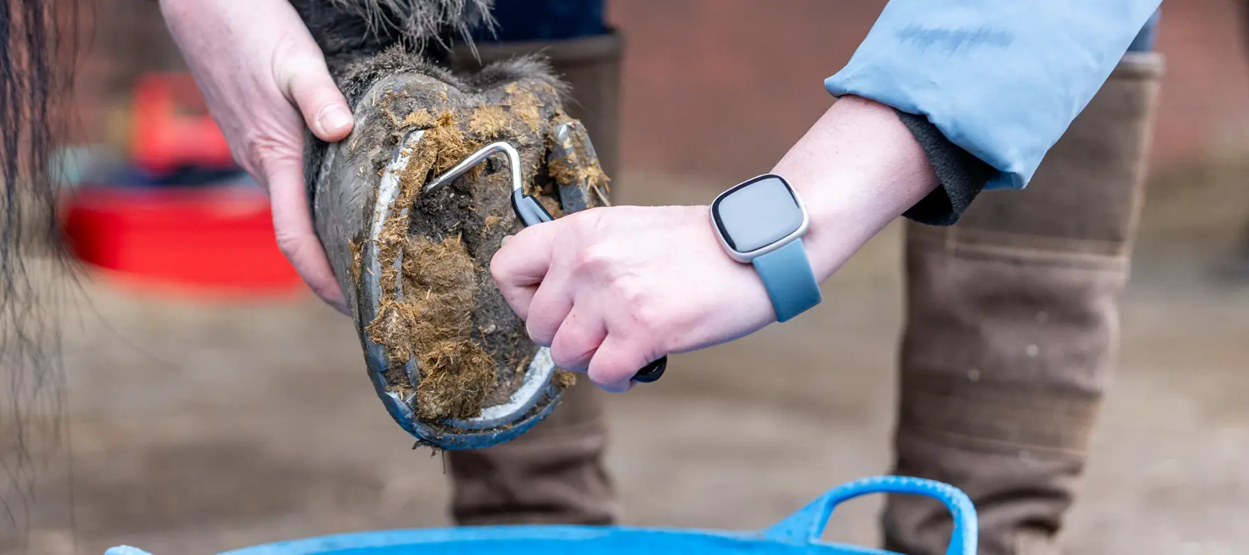 Hoof Pick