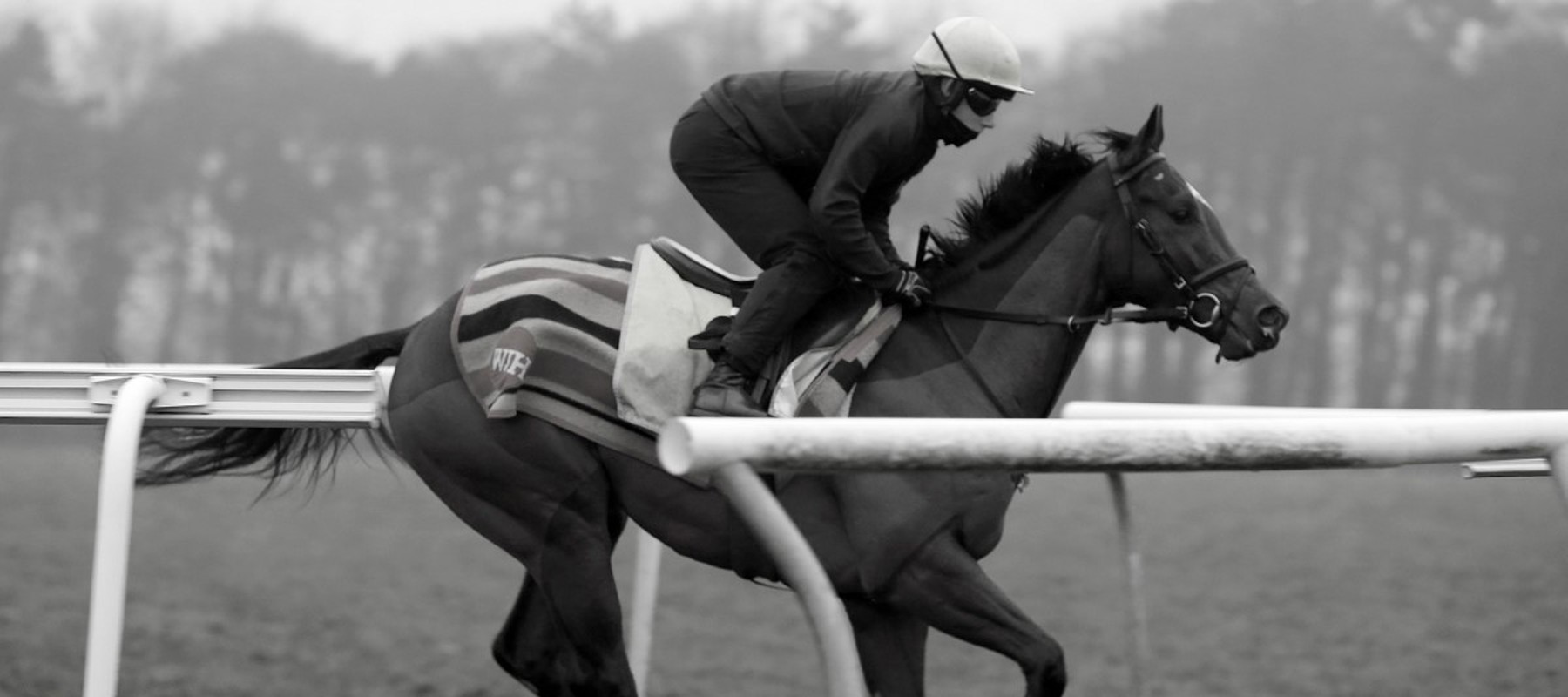horse racing black and white