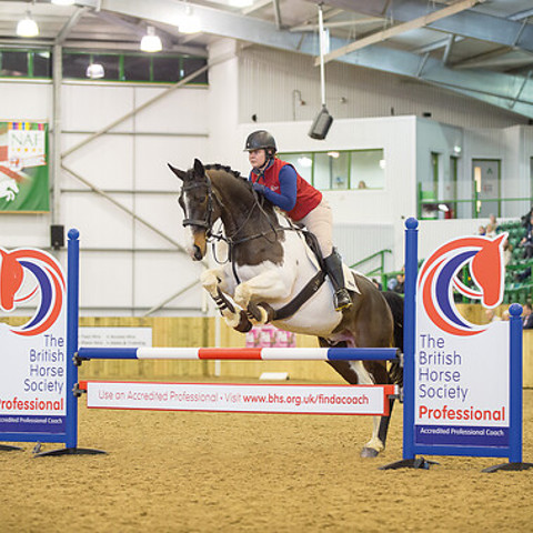 show jumping BHS professional