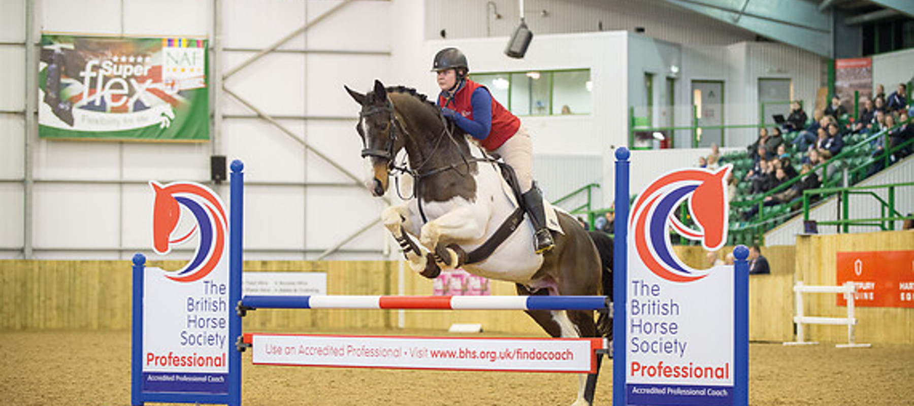 show jumping BHS professional