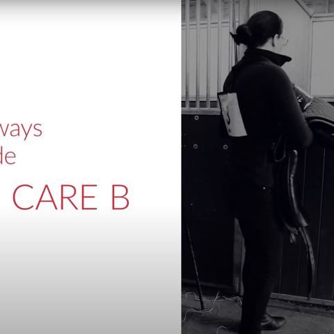 Stage 3 Care B Training Video